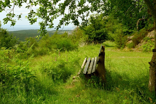 在篮球世界 在篮球世界