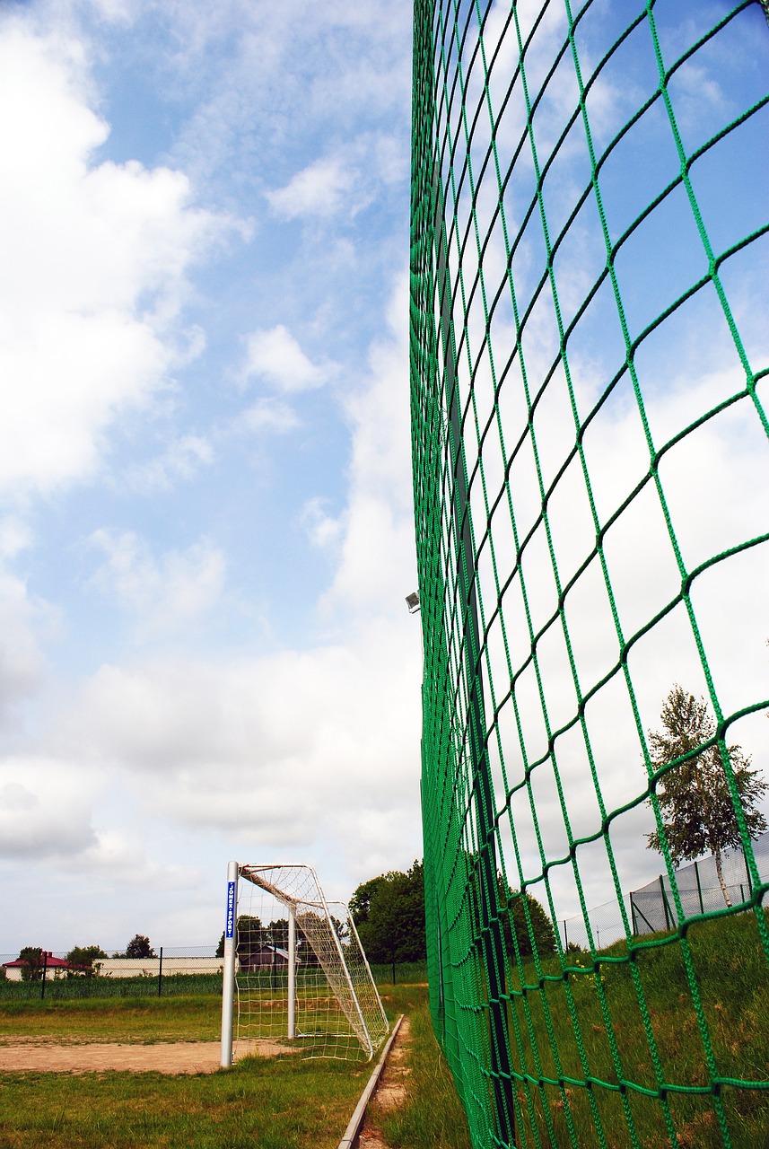 他的一记 他的一记