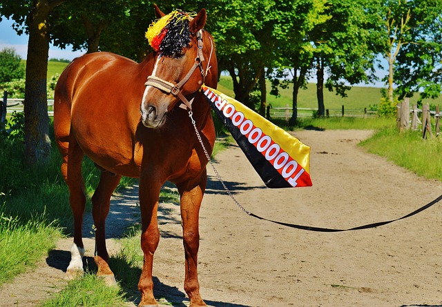 看到中国后 看到中国后