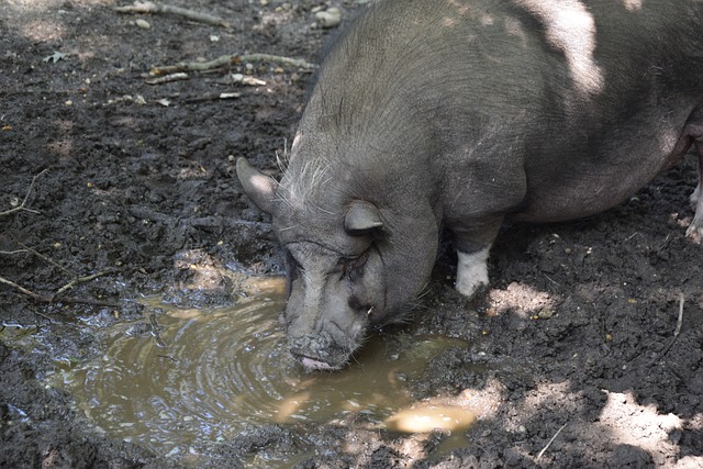 长远的发展 长远的发展